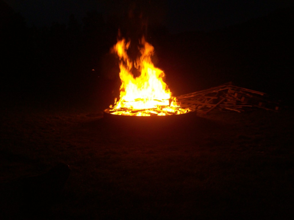 Neudenau 2010 017.jpg